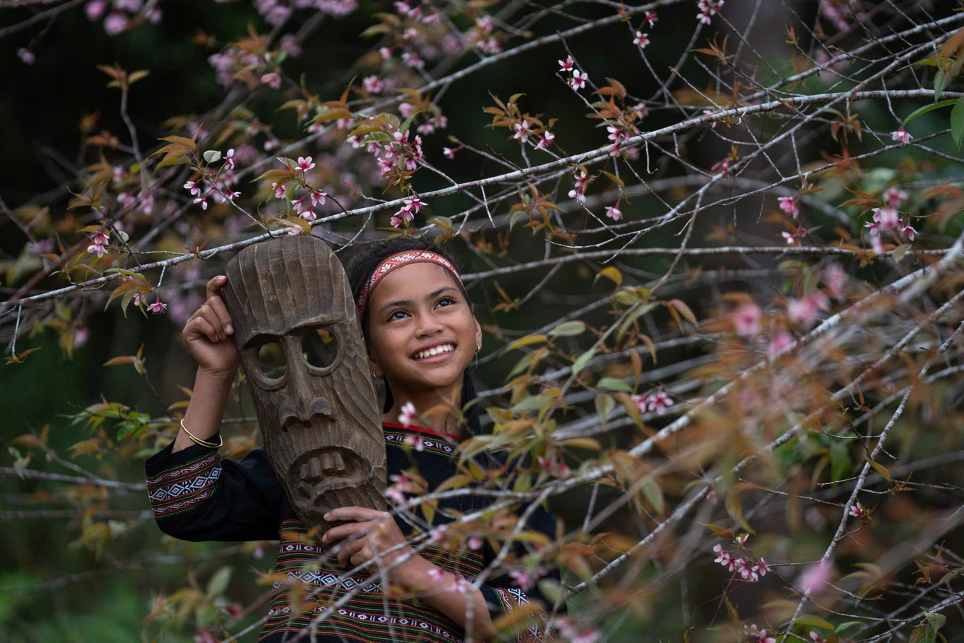 Du kh&aacute;ch nườm nượp đổ về Măng Đen ngắm hoa anh đ&agrave;o nở rộ- Ảnh 9.