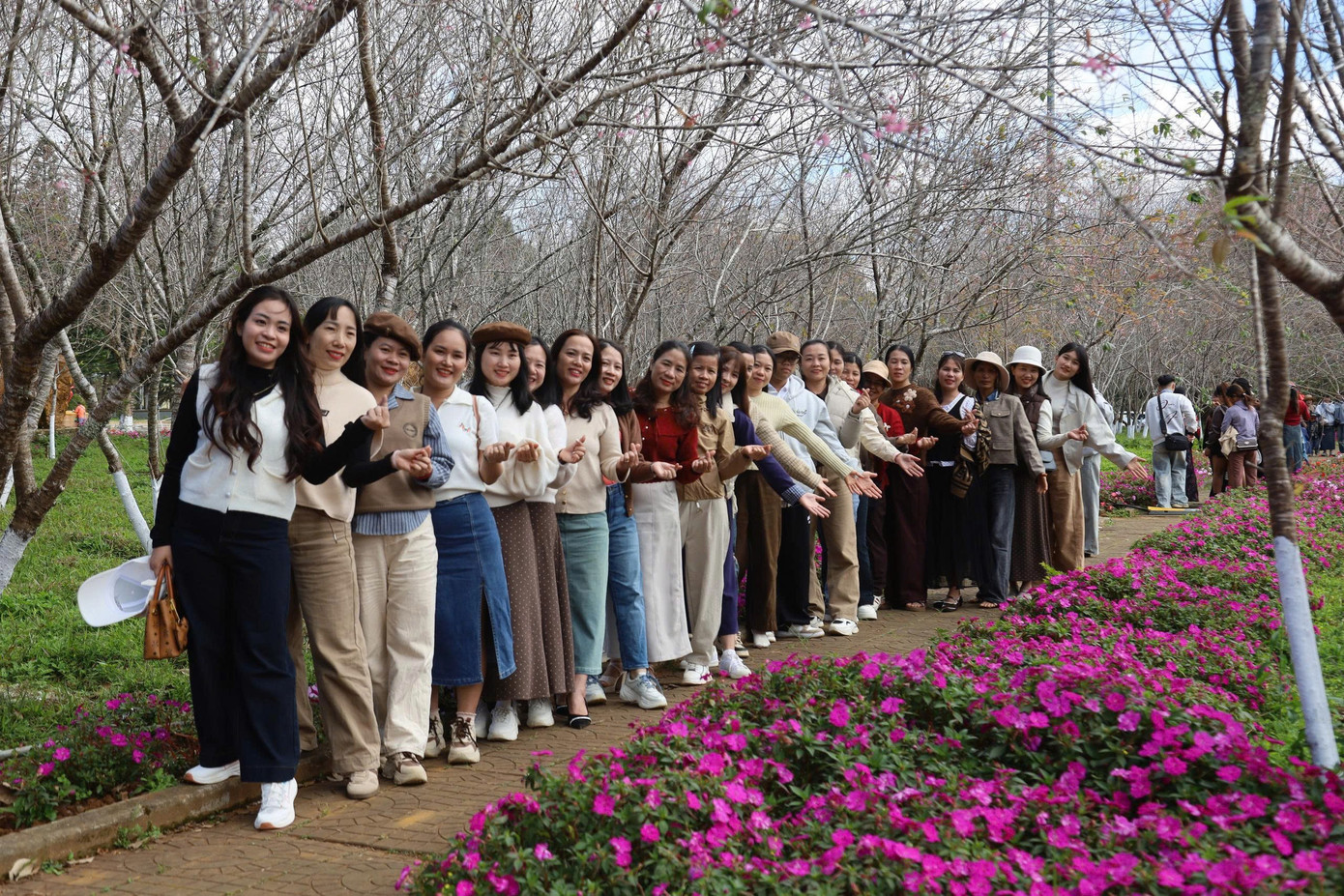 Du kh&aacute;ch nườm nượp đổ về Măng Đen ngắm hoa anh đ&agrave;o nở rộ- Ảnh 22.