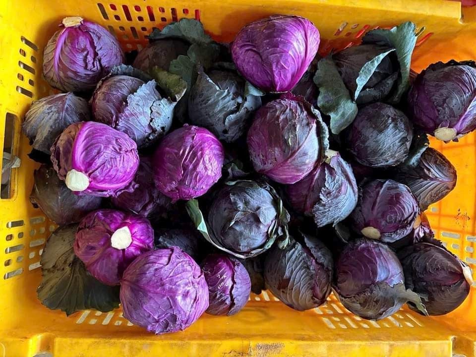 Loại rau gi&aacute; rẻ nhưng rất giỏi "h&uacute;t mỡ", giải độc ruột, dưỡng tim v&agrave; l&agrave;m chậm l&atilde;o h&oacute;a cho nữ giới: Chợ Việt đang cực sẵn- Ảnh 1.