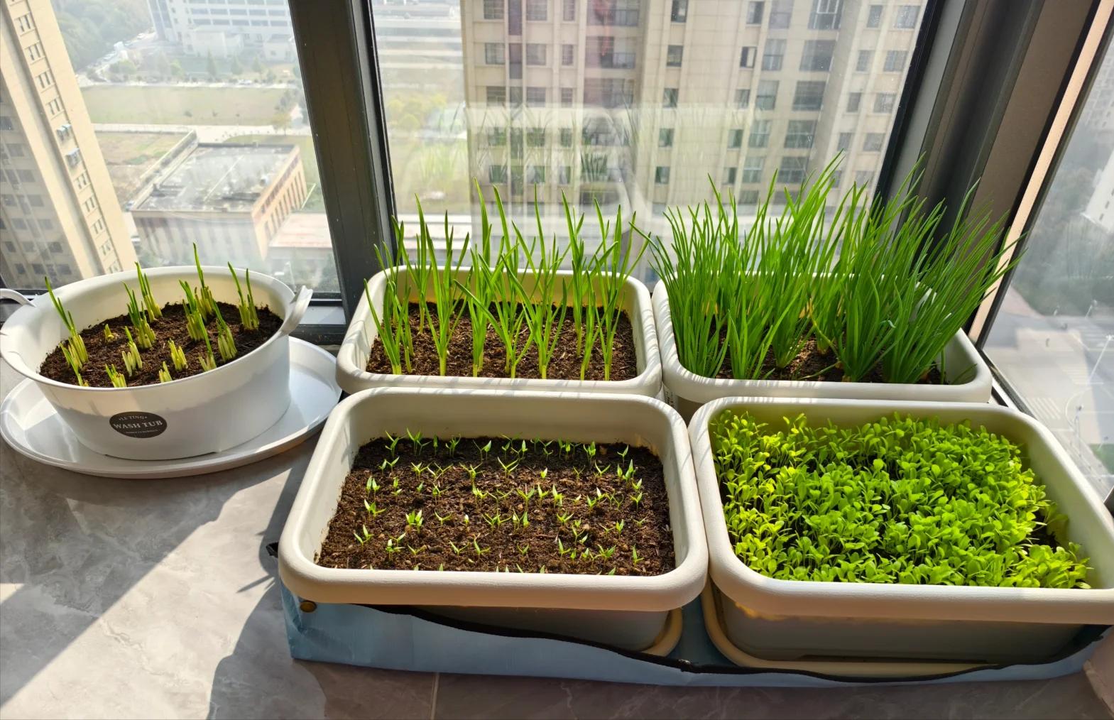 Ng&ocirc;i nh&agrave; b&igrave;nh y&ecirc;n của người phụ nữ 60 tuổi: Đơn giản nhưng c&agrave;ng nh&igrave;n c&agrave;ng muốn ở lại- Ảnh 4.