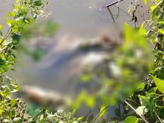 Ph&aacute;t hiện thi thể thiếu nữ với vết thương tr&ecirc;n cổ- Ảnh 1.