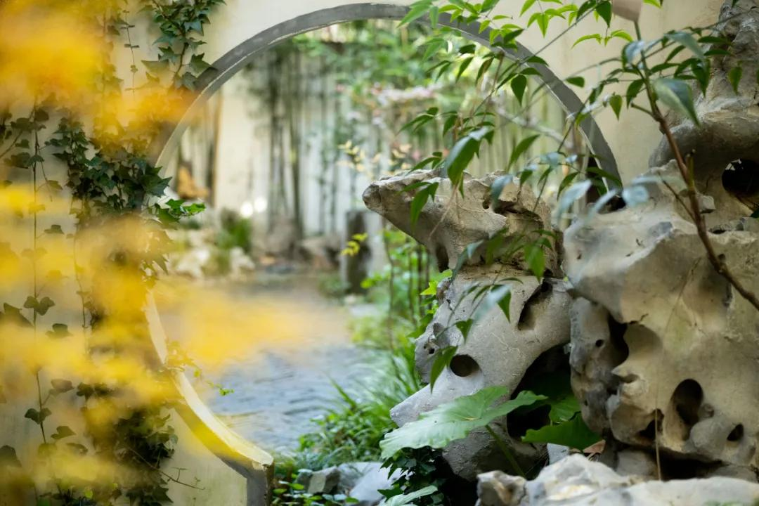 Thu&ecirc; nh&agrave; nhỏ vẫn sống như biệt thự: Mẹ đơn th&acirc;n biến ban c&ocirc;ng - s&acirc;n hẹp th&agrave;nh khu vườn xanh mướt- Ảnh 8.