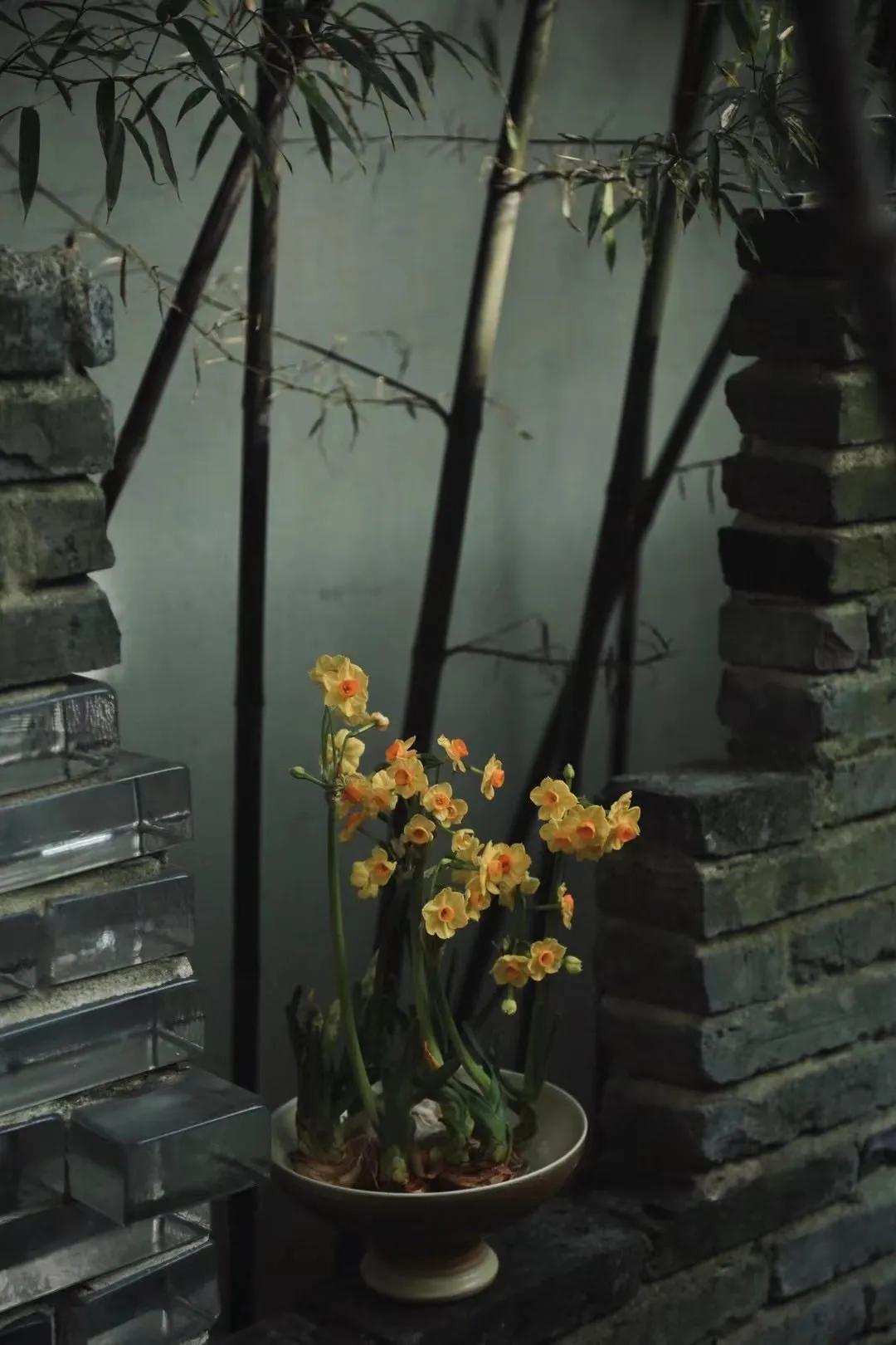 Thu&ecirc; nh&agrave; nhỏ vẫn sống như biệt thự: Mẹ đơn th&acirc;n biến ban c&ocirc;ng - s&acirc;n hẹp th&agrave;nh khu vườn xanh mướt- Ảnh 7.