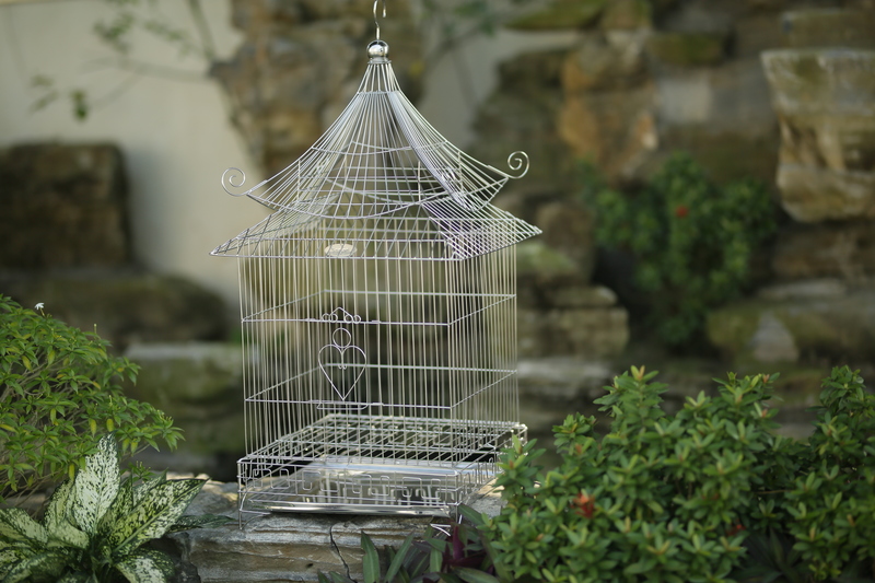 45 tuổi, c&ograve;ng lưng trả nợ mua nh&agrave; mua xe, t&ocirc;i mới nhận ra: c&agrave;ng c&oacute; tiền c&agrave;ng phải cảnh gi&aacute;c với "bẫy lồng chim"- Ảnh 2.