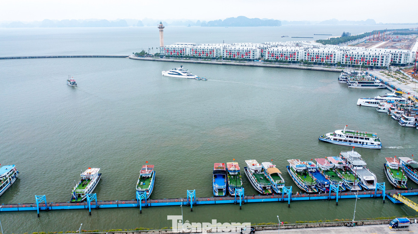 Đ&ocirc;ng nghịt kh&aacute;ch tham quan vịnh Hạ Long- Ảnh 9.