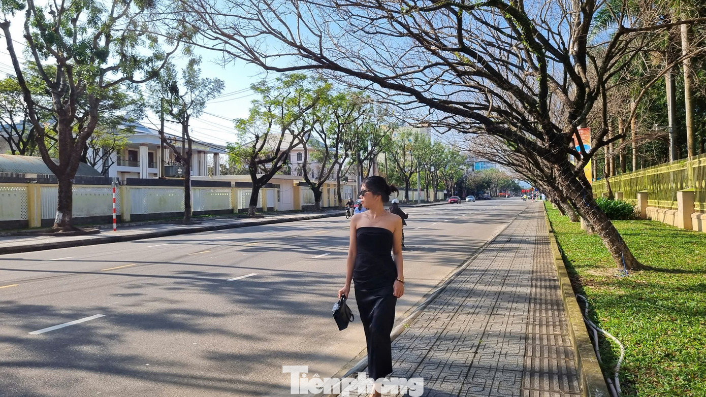 M&ecirc; mẩn check-in h&agrave;ng sưa khẳng khiu ngả b&oacute;ng đẹp như trong phim- Ảnh 3.