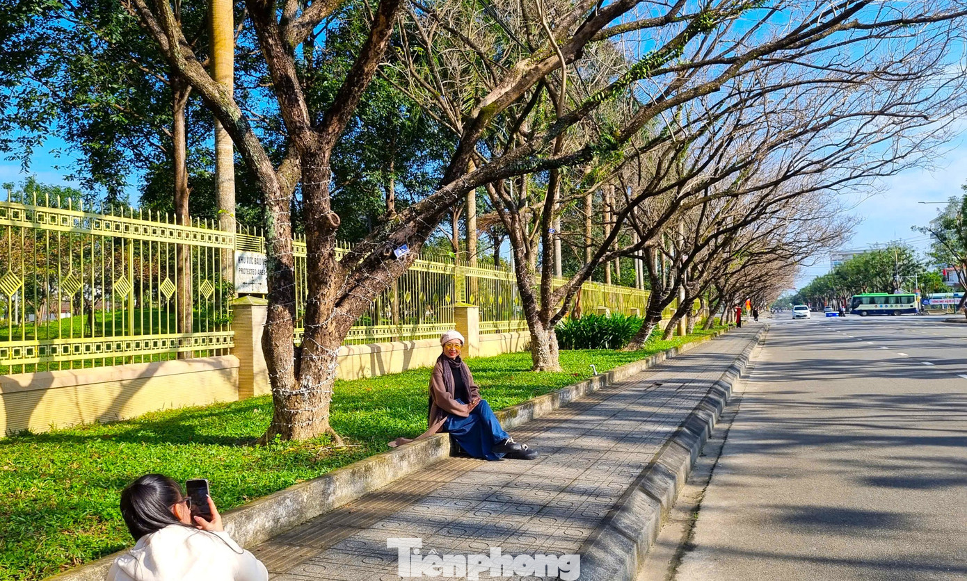 M&ecirc; mẩn check-in h&agrave;ng sưa khẳng khiu ngả b&oacute;ng đẹp như trong phim- Ảnh 13.