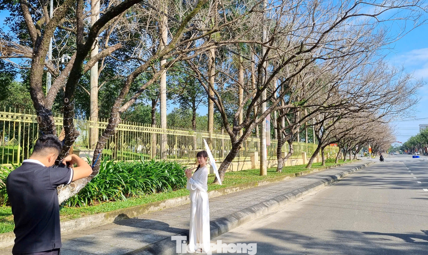 M&ecirc; mẩn check-in h&agrave;ng sưa khẳng khiu ngả b&oacute;ng đẹp như trong phim- Ảnh 10.