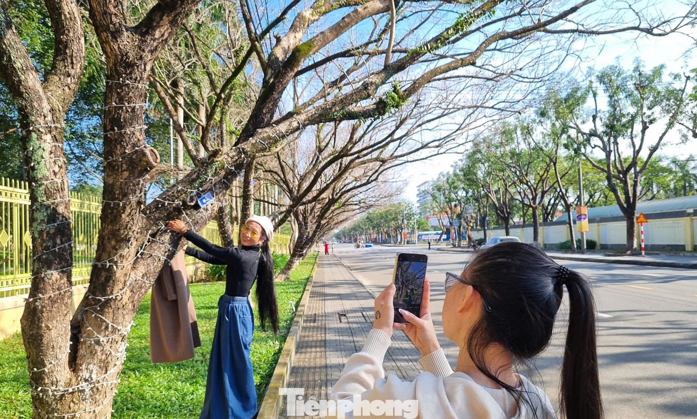 M&ecirc; mẩn check-in h&agrave;ng sưa khẳng khiu ngả b&oacute;ng đẹp như trong phim- Ảnh 4.