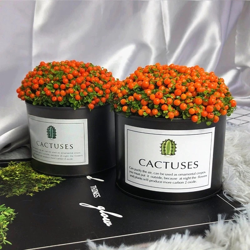 "Bảo bối" phong thủy mới cho Tết B&iacute;nh Ngọ 2026: T&ecirc;n nghe sang chảnh, b&eacute; x&iacute;u xiu m&agrave; h&uacute;t lộc cả năm- Ảnh 20.