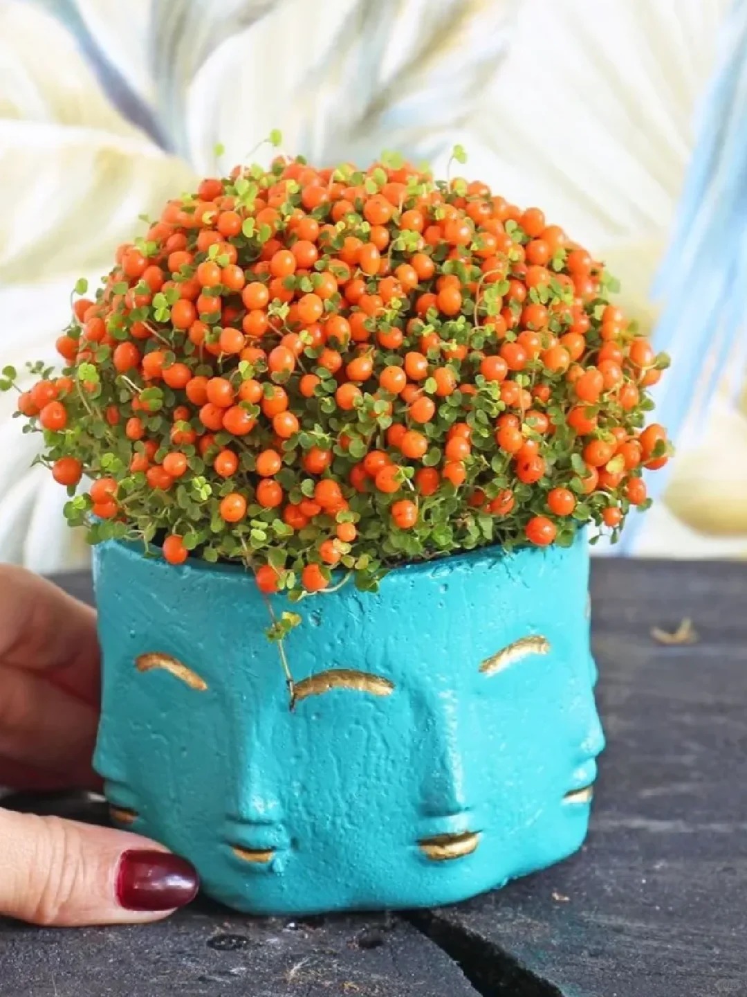 "Bảo bối" phong thủy mới cho Tết B&iacute;nh Ngọ 2026: T&ecirc;n nghe sang chảnh, b&eacute; x&iacute;u xiu m&agrave; h&uacute;t lộc cả năm- Ảnh 15.