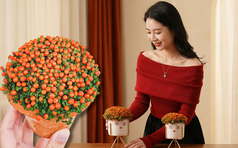 "Bảo bối" phong thủy mới cho Tết B&iacute;nh Ngọ 2026: T&ecirc;n nghe sang chảnh, b&eacute; x&iacute;u xiu m&agrave; h&uacute;t lộc cả năm- Ảnh 1.