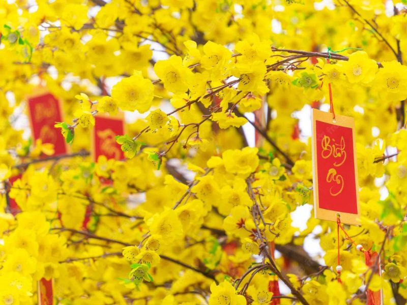 "Đặc sản Tết" của người miền T&acirc;y, cả nước t&ograve; m&ograve;- Ảnh 1.