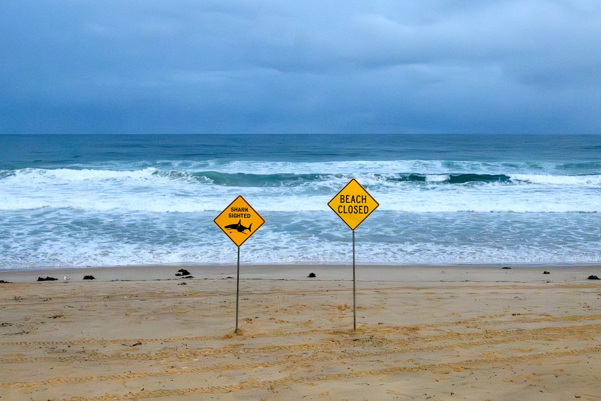 C&aacute; mập tấn c&ocirc;ng người li&ecirc;n tiếp, Australia đ&oacute;ng cửa 40 b&atilde;i biển- Ảnh 2.