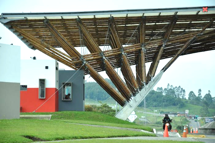 Lần đầu ti&ecirc;n tr&ecirc;n thế giới: "B&iacute; quyết kỹ thuật" về TRE c&oacute; thể dậy s&oacute;ng ng&agrave;nh th&eacute;p, b&ecirc; t&ocirc;ng to&agrave;n cầu- Ảnh 1.