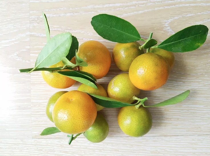 Mỹ giới thiệu 7 c&acirc;y ăn quả trồng trong chậu rất hợp: Số 3 người Việt biết trồng từ l&acirc;u- Ảnh 2.