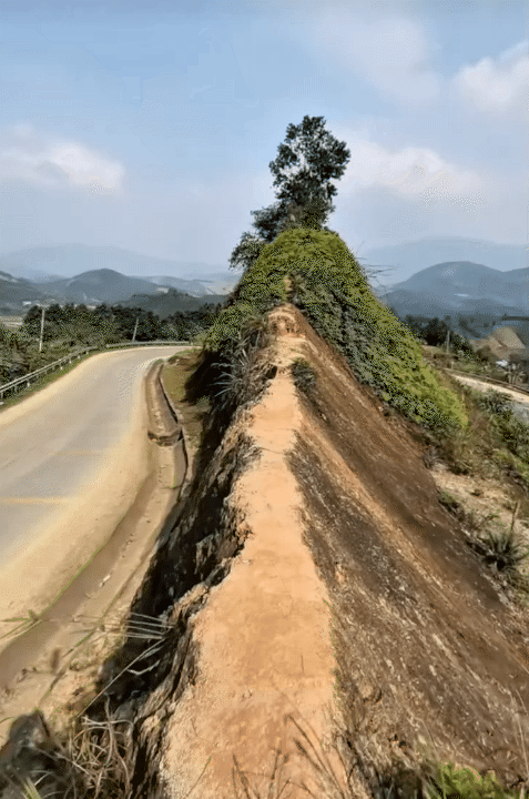 Sốc nhất MXH h&ocirc;m nay: Cụ &ocirc;ng đi 1000km để gặp bạn g&aacute;i quen tr&ecirc;n mạng, quyết đ&oacute;n về l&agrave;m vợ chỉ sau 2 ng&agrave;y "hẹn h&ograve;"- Ảnh 2.