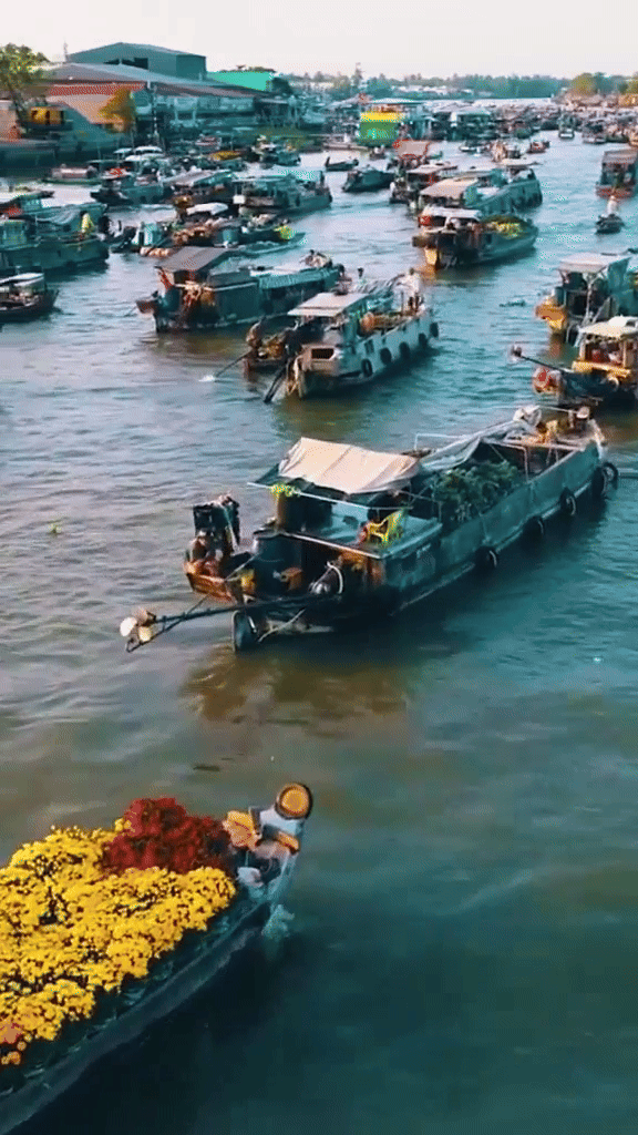 Đặc sản miền T&acirc;y, cả nước kh&ocirc;ng đ&acirc;u c&oacute;- Ảnh 5.