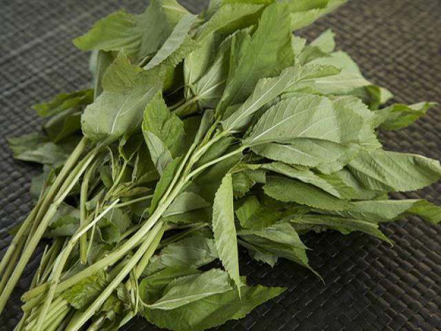 Việt Nam c&oacute; loại rau nhiều sắt hơn thịt b&ograve;: Bổ tim, ngừa ung thư nhưng nhiều người ch&ecirc; kh&ocirc;ng ăn- Ảnh 2.