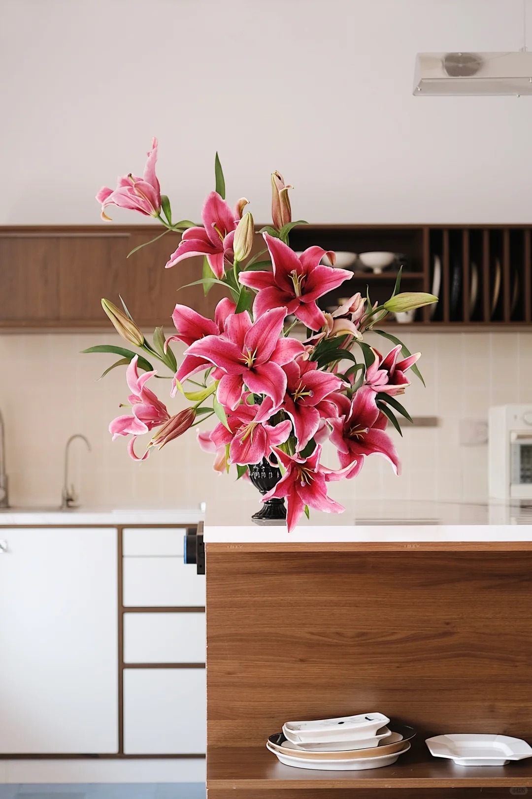 "N&agrave;ng hậu" của m&ugrave;a Tết 2026 l&agrave; Profundo: Giống b&aacute;ch hợp khổng lồ khiến căn nh&agrave; thơm như một khu vườn, vụng mấy cũng chăm được- Ảnh 9.