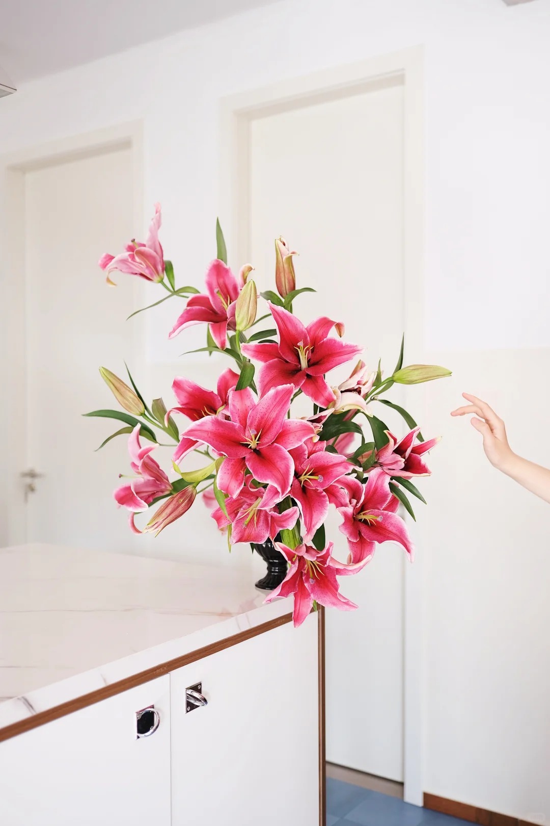 "N&agrave;ng hậu" của m&ugrave;a Tết 2026 l&agrave; Profundo: Giống b&aacute;ch hợp khổng lồ khiến căn nh&agrave; thơm như một khu vườn, vụng mấy cũng chăm được- Ảnh 8.