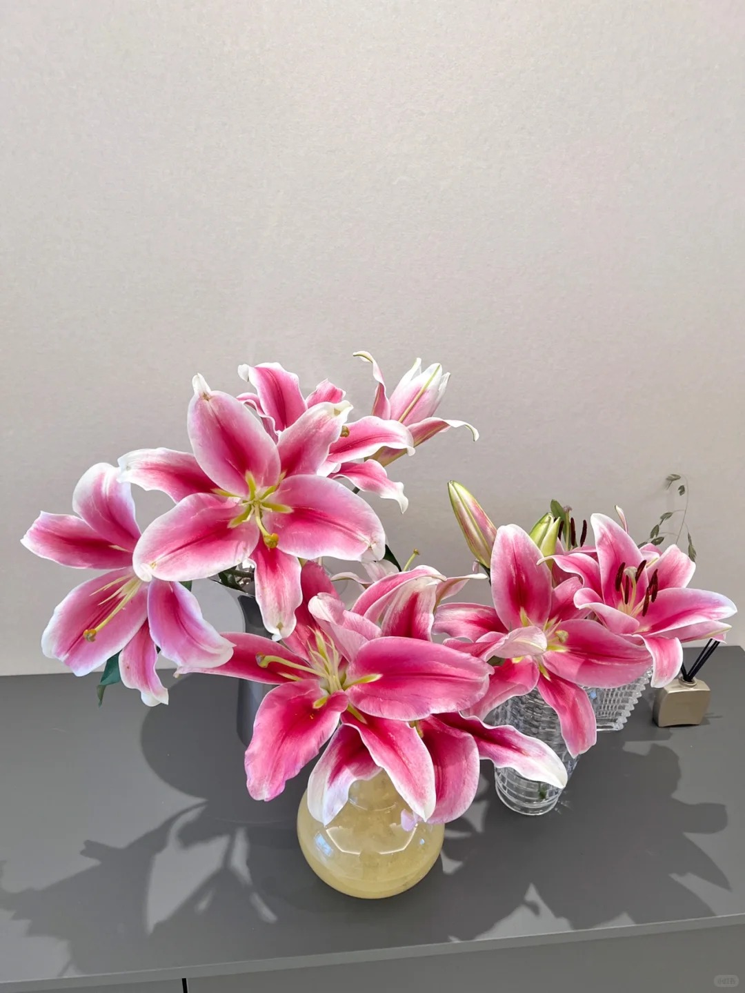 "N&agrave;ng hậu" của m&ugrave;a Tết 2026 l&agrave; Profundo: Giống b&aacute;ch hợp khổng lồ khiến căn nh&agrave; thơm như một khu vườn, vụng mấy cũng chăm được- Ảnh 19.