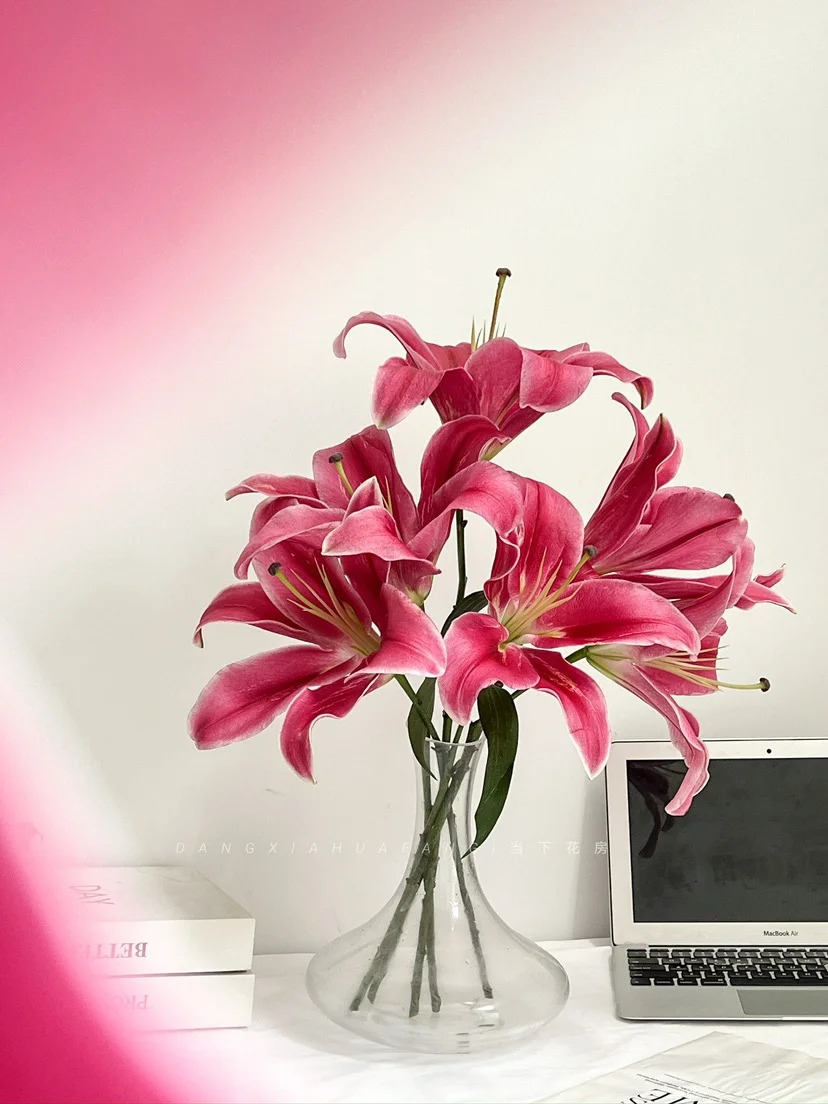 "N&agrave;ng hậu" của m&ugrave;a Tết 2026 l&agrave; Profundo: Giống b&aacute;ch hợp khổng lồ khiến căn nh&agrave; thơm như một khu vườn, vụng mấy cũng chăm được- Ảnh 16.