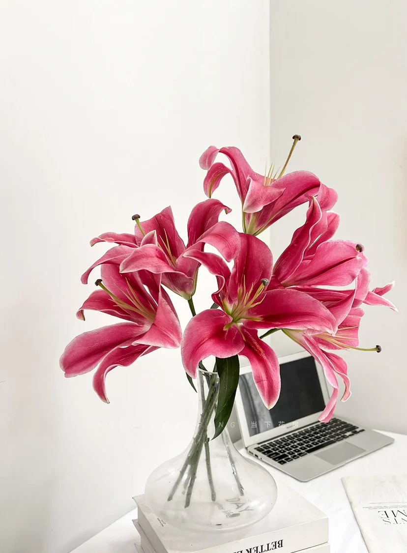 "N&agrave;ng hậu" của m&ugrave;a Tết 2026 l&agrave; Profundo: Giống b&aacute;ch hợp khổng lồ khiến căn nh&agrave; thơm như một khu vườn, vụng mấy cũng chăm được- Ảnh 15.