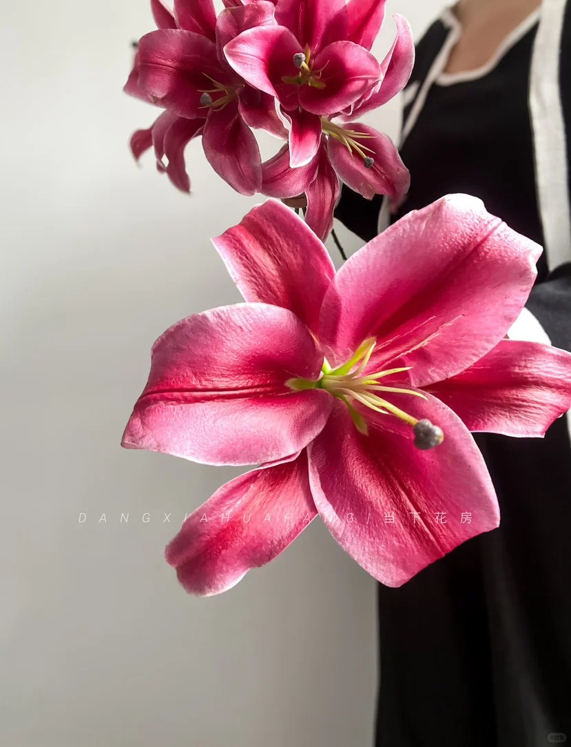 "N&agrave;ng hậu" của m&ugrave;a Tết 2026 l&agrave; Profundo: Giống b&aacute;ch hợp khổng lồ khiến căn nh&agrave; thơm như một khu vườn, vụng mấy cũng chăm được- Ảnh 14.