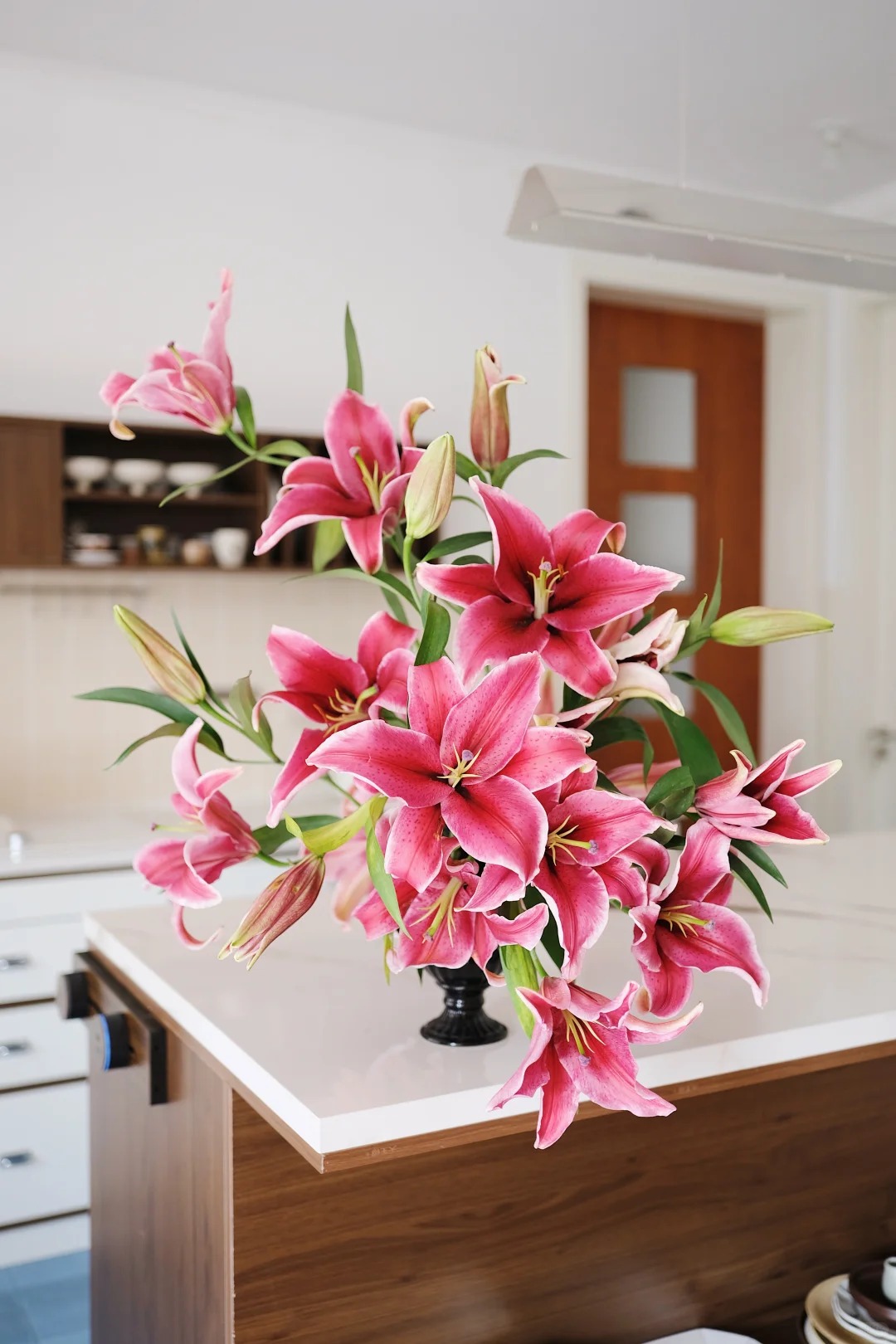 "N&agrave;ng hậu" của m&ugrave;a Tết 2026 l&agrave; Profundo: Giống b&aacute;ch hợp khổng lồ khiến căn nh&agrave; thơm như một khu vườn, vụng mấy cũng chăm được- Ảnh 6.