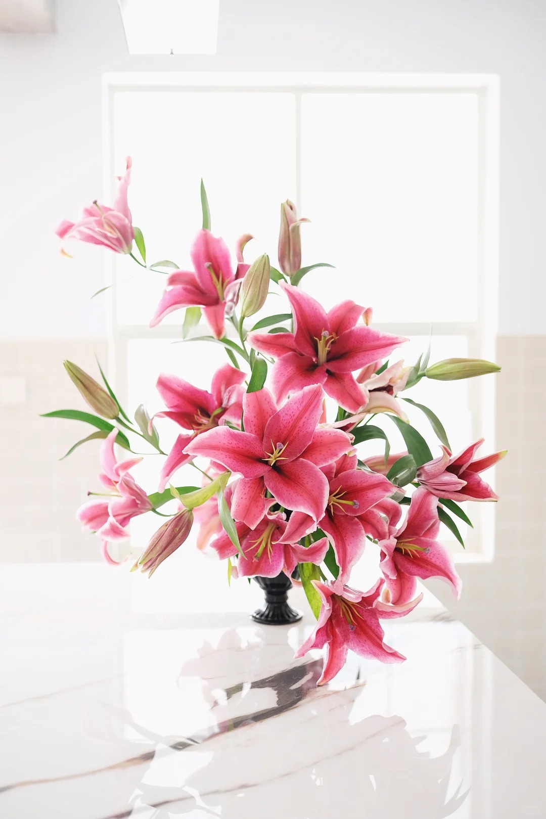 "N&agrave;ng hậu" của m&ugrave;a Tết 2026 l&agrave; Profundo: Giống b&aacute;ch hợp khổng lồ khiến căn nh&agrave; thơm như một khu vườn, vụng mấy cũng chăm được- Ảnh 13.