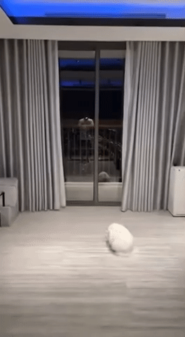 Chuyện g&igrave; đang xảy ra ở nh&agrave; của Trấn Th&agrave;nh?- Ảnh 6.