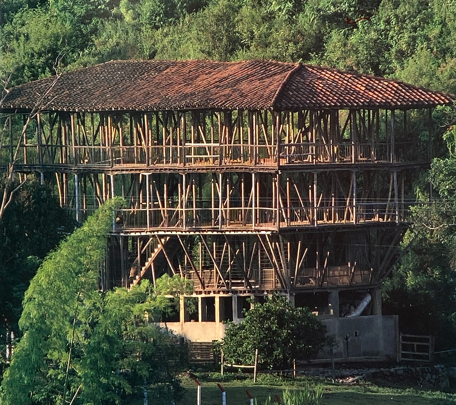 Lần đầu ti&ecirc;n tr&ecirc;n thế giới: "B&iacute; quyết kỹ thuật" về TRE c&oacute; thể dậy s&oacute;ng ng&agrave;nh th&eacute;p, b&ecirc; t&ocirc;ng to&agrave;n cầu- Ảnh 2.