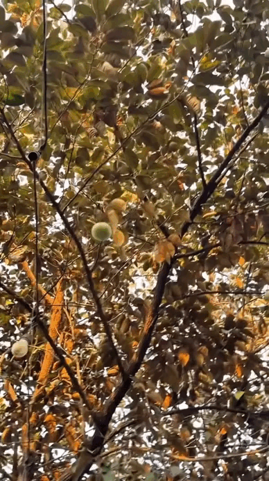 Cảnh tượng lần đầu xuất hiện trong nh&agrave; Mỹ T&acirc;m- Ảnh 2.