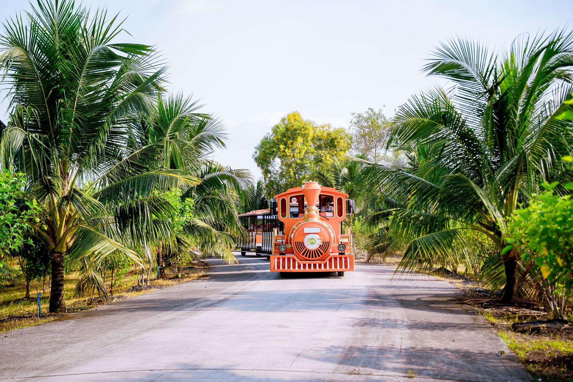 Tự tay h&aacute;i tr&aacute;i giữa kh&ocirc;ng gian xanh &ndash; Điểm hẹn thư gi&atilde;n cho cả gia đ&igrave;nh- Ảnh 5.