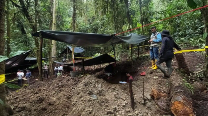 Qu&eacute;t laser xuy&ecirc;n rừng, c&aacute;c nh&agrave; khoa học sửng sốt ph&aacute;t hiện 