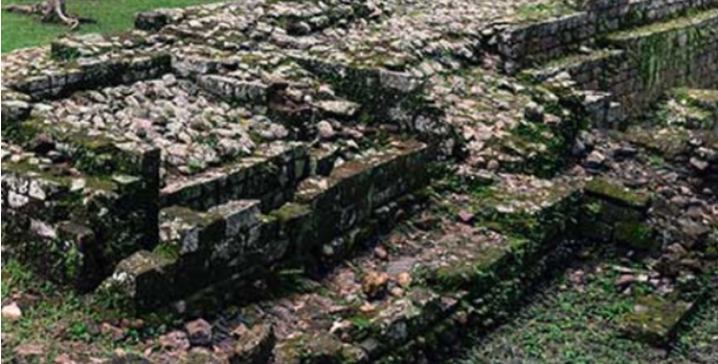 Qu&eacute;t laser xuy&ecirc;n rừng, c&aacute;c nh&agrave; khoa học sửng sốt ph&aacute;t hiện 