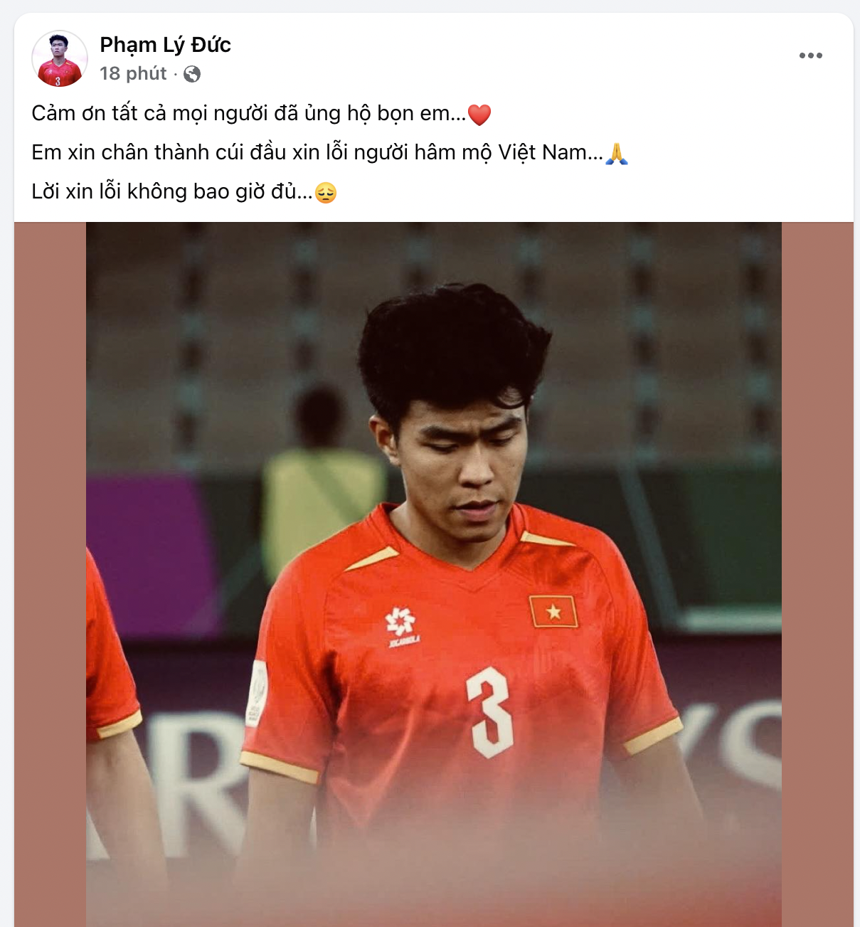 L&yacute; Đức xin lỗi- Ảnh 1.