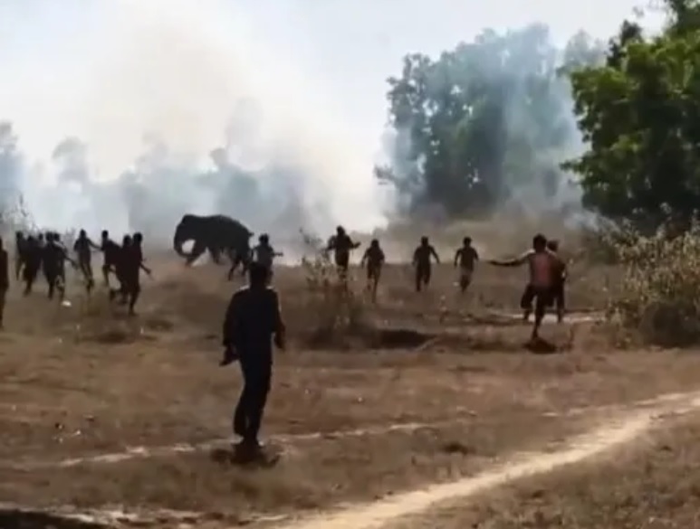 Voi dữ tấn c&ocirc;ng khiến 22 người tử vong, d&acirc;n l&agrave;ng hoảng sợ- Ảnh 1.