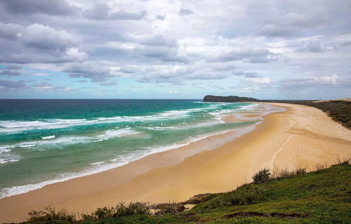 Ph&aacute;t hiện c&ocirc; g&aacute;i 19 tuổi tử vong tr&ecirc;n b&atilde;i biển nổi tiếng với 10 con ch&oacute; hoang xung quanh- Ảnh 1.