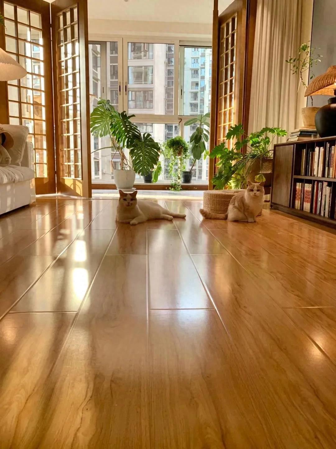 Ở nhà dọn dẹp, không mua sắm, không giao tiếp xã hội: Nữ giáo viên khiến hàng nghìn người nhìn lại cách mình đang sống- Ảnh 2. Ở nhà dọn dẹp, không mua sắm, không giao tiếp xã hội: Nữ giáo viên khiến hàng nghìn người nhìn lại cách mình đang sống- Ảnh 2.