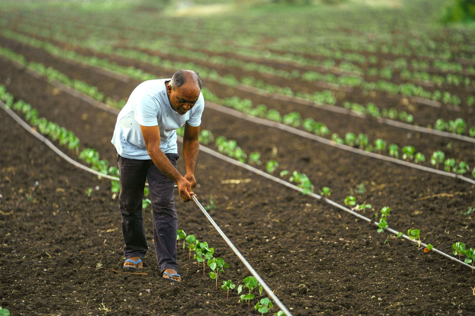 "Ph&aacute;t minh thế kỷ" của Israel rung chuyển thế giới, l&agrave;m b&ugrave;ng nổ thị trường gần 10 tỷ USD- Ảnh 1.