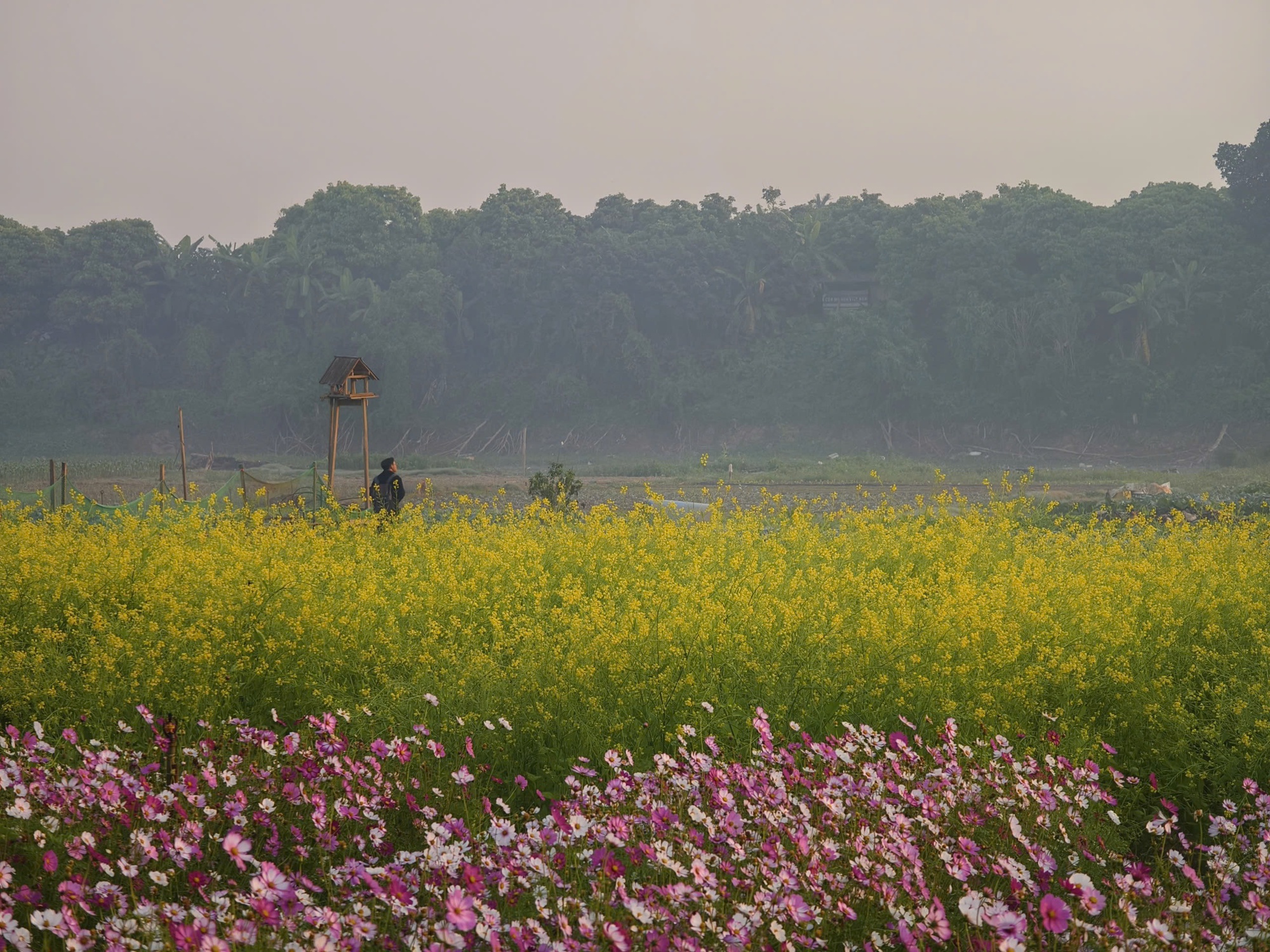 Giữa H&agrave; Nội vội v&atilde;, c&oacute; một nơi y&ecirc;n b&igrave;nh đến lạ m&agrave; giới trẻ đang rủ nhau t&igrave;m về- Ảnh 9.
