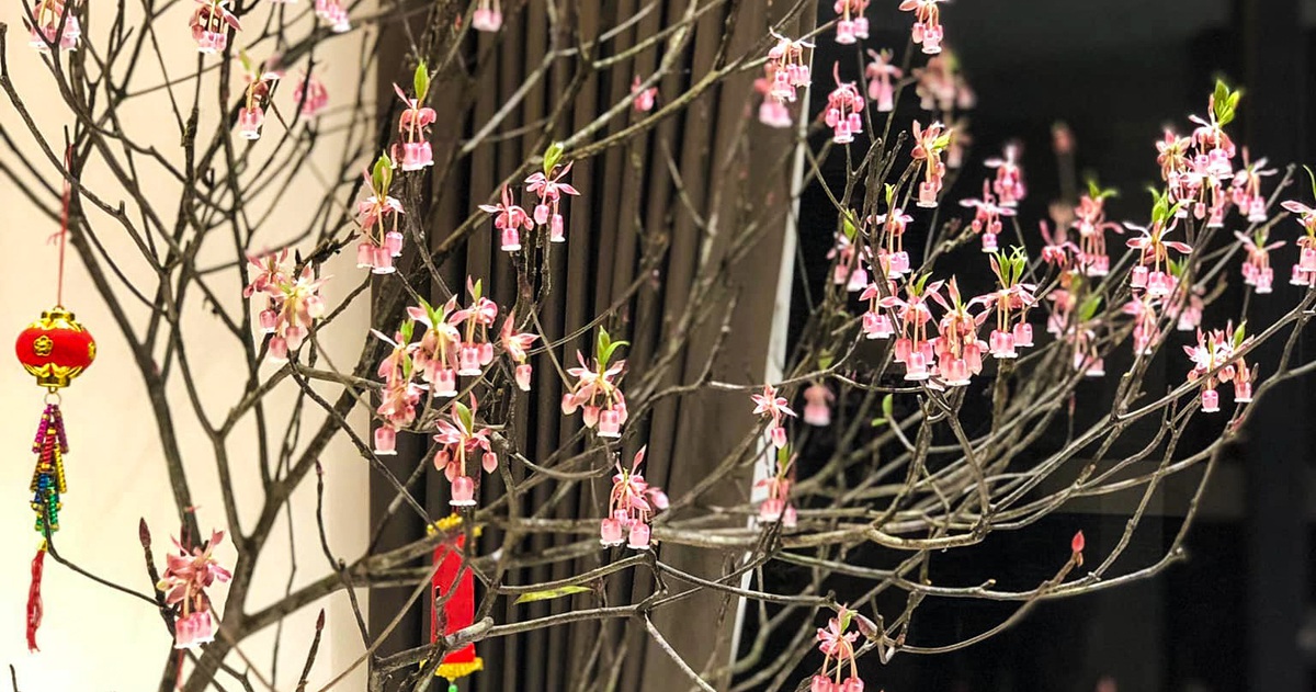 Kh&ocirc;ng phải lan, đ&acirc;y mới l&agrave; loại hoa được giới nh&agrave; gi&agrave;u chuộng mua chơi Tết: Gi&aacute; v&agrave;i triệu t&iacute;nh theo c&agrave;nh- Ảnh 4.