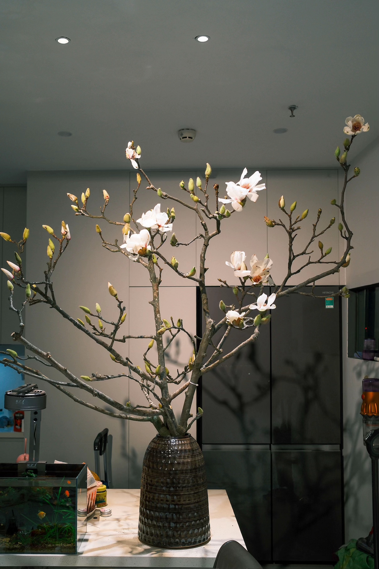 V&igrave; sao n&oacute;i chơi Hoa Mộc Lan l&agrave; "m&ocirc;n thể thao mạo hiểm&rdquo; nhất Tết Ngựa?- Ảnh 12.