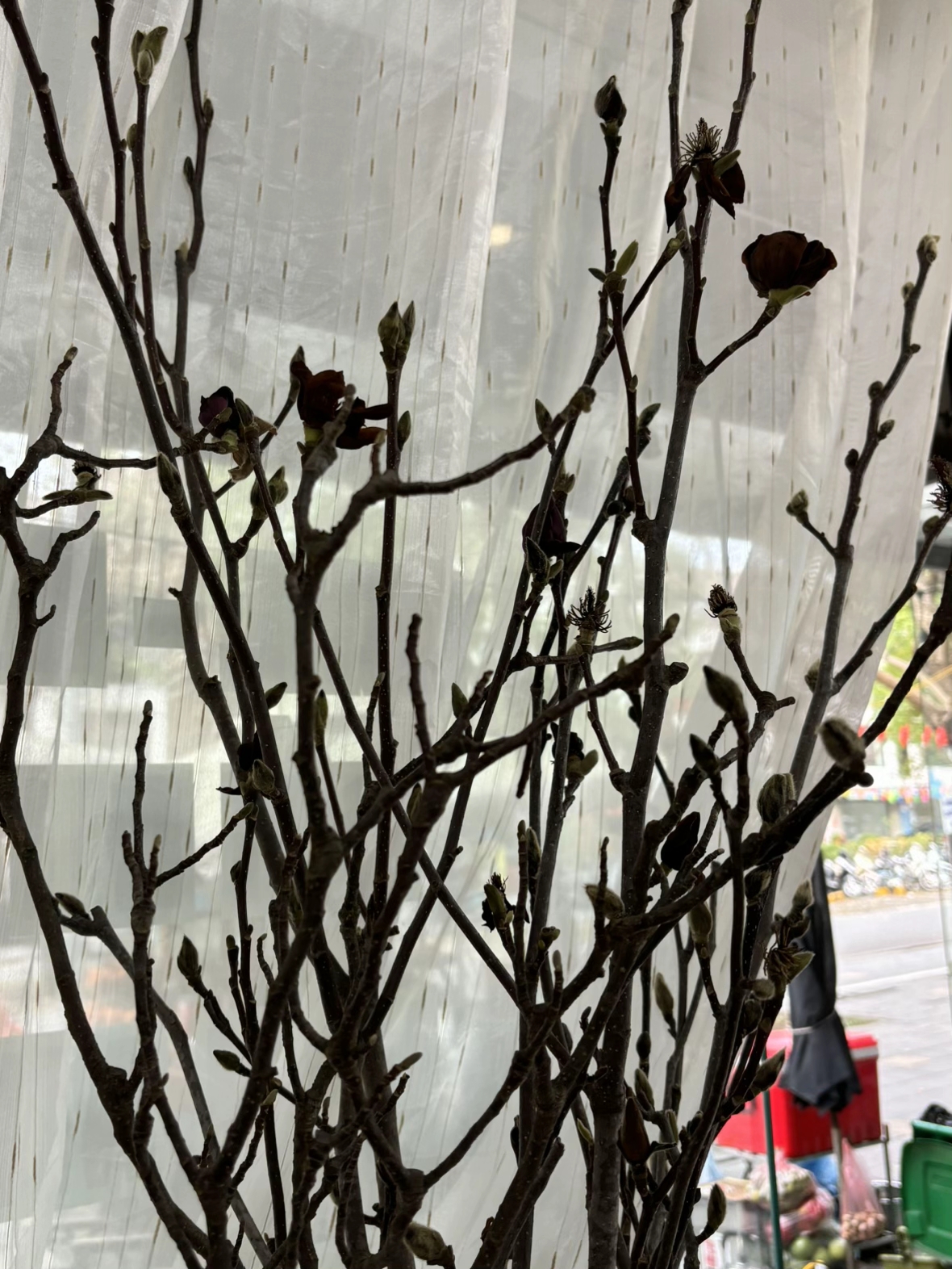 V&igrave; sao n&oacute;i chơi Hoa Mộc Lan l&agrave; "m&ocirc;n thể thao mạo hiểm&rdquo; nhất Tết Ngựa?- Ảnh 7.