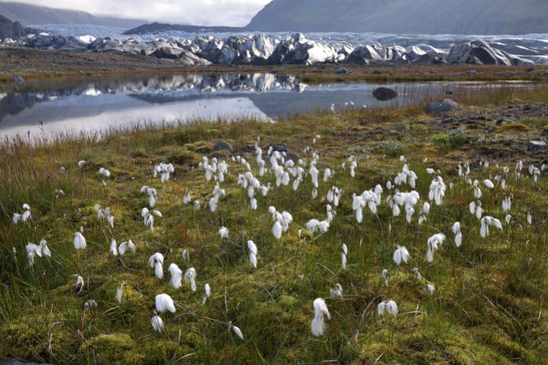 Một quốc gia kh&ocirc;ng c&oacute; bất kỳ con muỗi n&agrave;o- Ảnh 2.