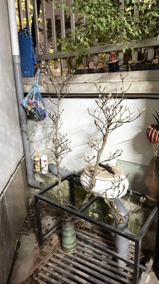 V&igrave; sao n&oacute;i chơi Hoa Mộc Lan l&agrave; "m&ocirc;n thể thao mạo hiểm&rdquo; nhất Tết Ngựa?- Ảnh 6.