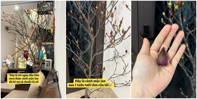 V&igrave; sao n&oacute;i chơi Hoa Mộc Lan l&agrave; "m&ocirc;n thể thao mạo hiểm&rdquo; nhất Tết Ngựa?- Ảnh 9.