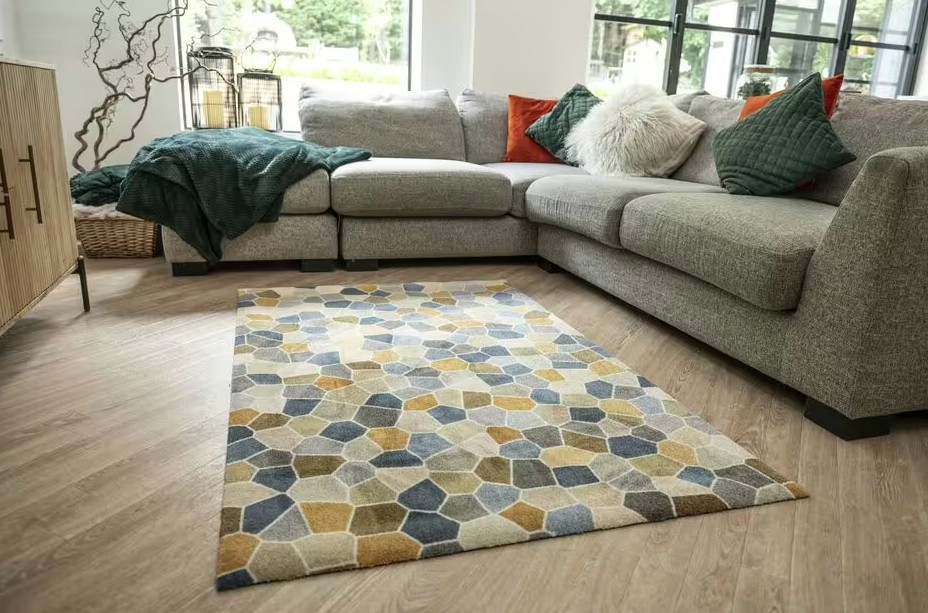 Ph&aacute;t cảnh b&aacute;o cho tất cả c&aacute;c gia đ&igrave;nh c&oacute; thảm trong ph&ograve;ng kh&aacute;ch- Ảnh 1.